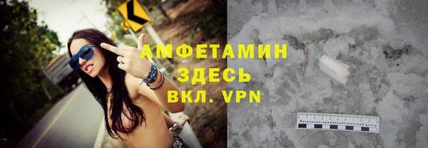 твердый Арсеньев