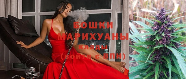 твердый Арсеньев