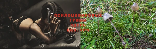 твердый Арсеньев