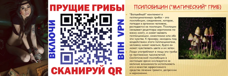 Галлюциногенные грибы Psilocybe  маркетплейс формула  Кировск 