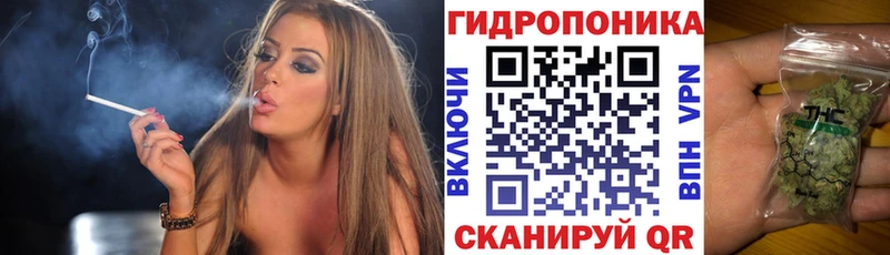 Бошки марихуана VHQ  Кировск 